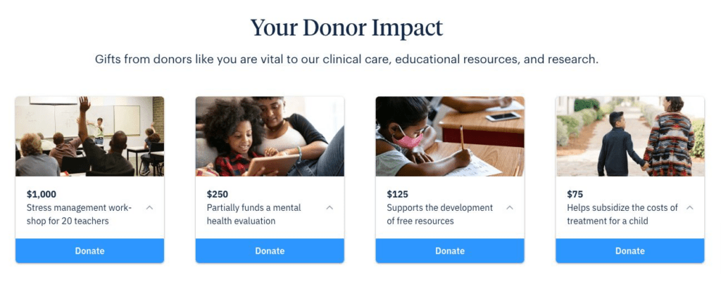 Contribution options for a donation that ties dollar amounts to outcomes